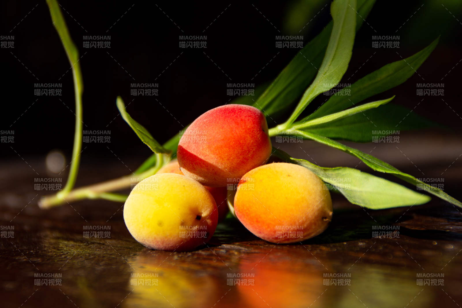 新鲜杏子与绿叶静物图图片