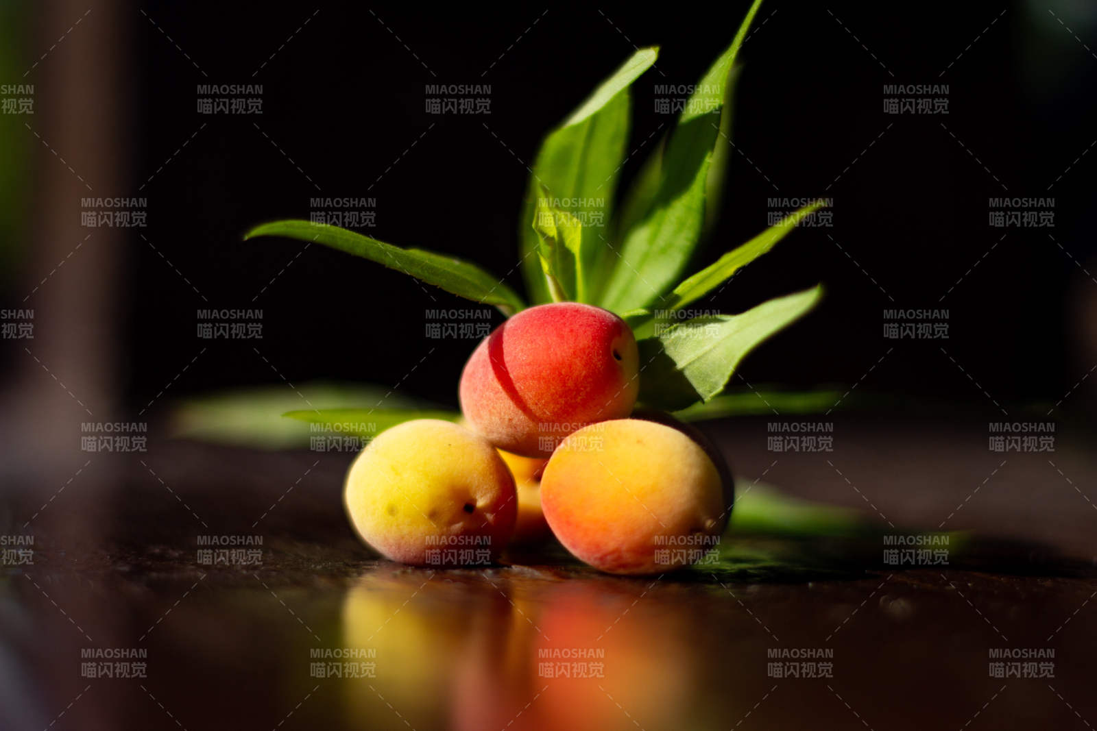 阳光下的杏子与绿叶图片