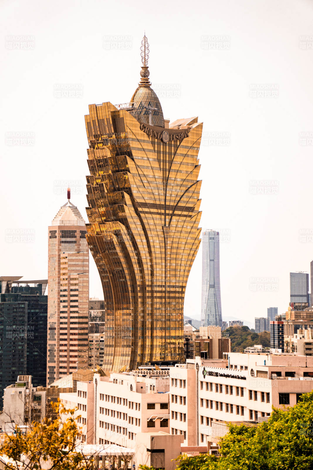 澳门威尼斯人酒店大楼图片