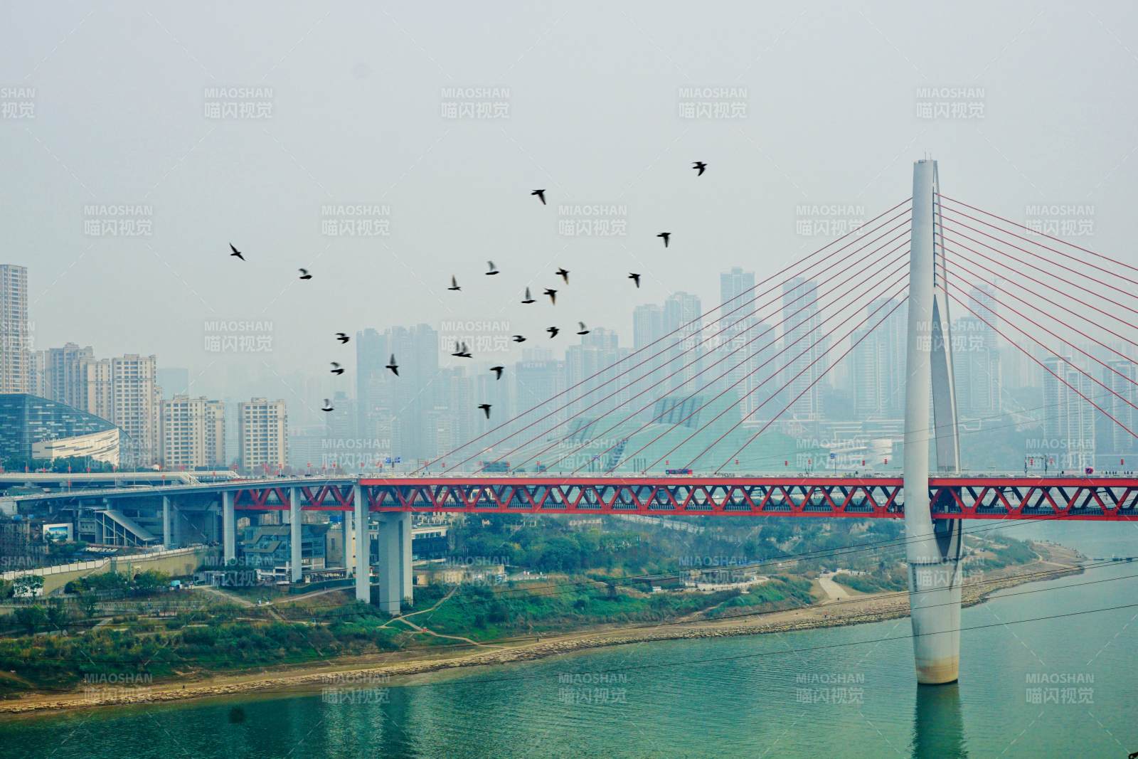 重庆千厮门大桥与飞翔的鸟群图片
