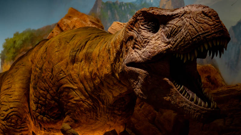 霸王龙的咆哮图片