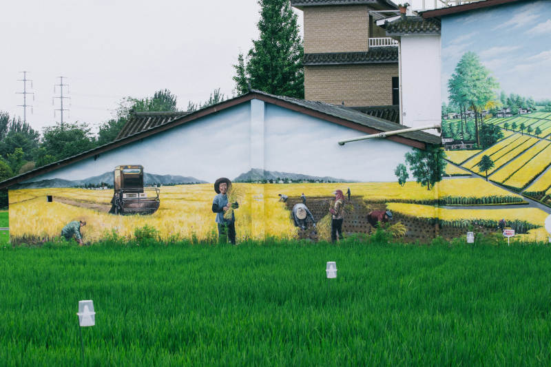 田园风光壁画展图片