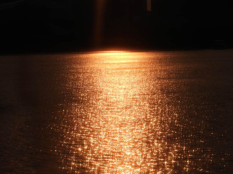 夕阳映水 金光闪烁图片