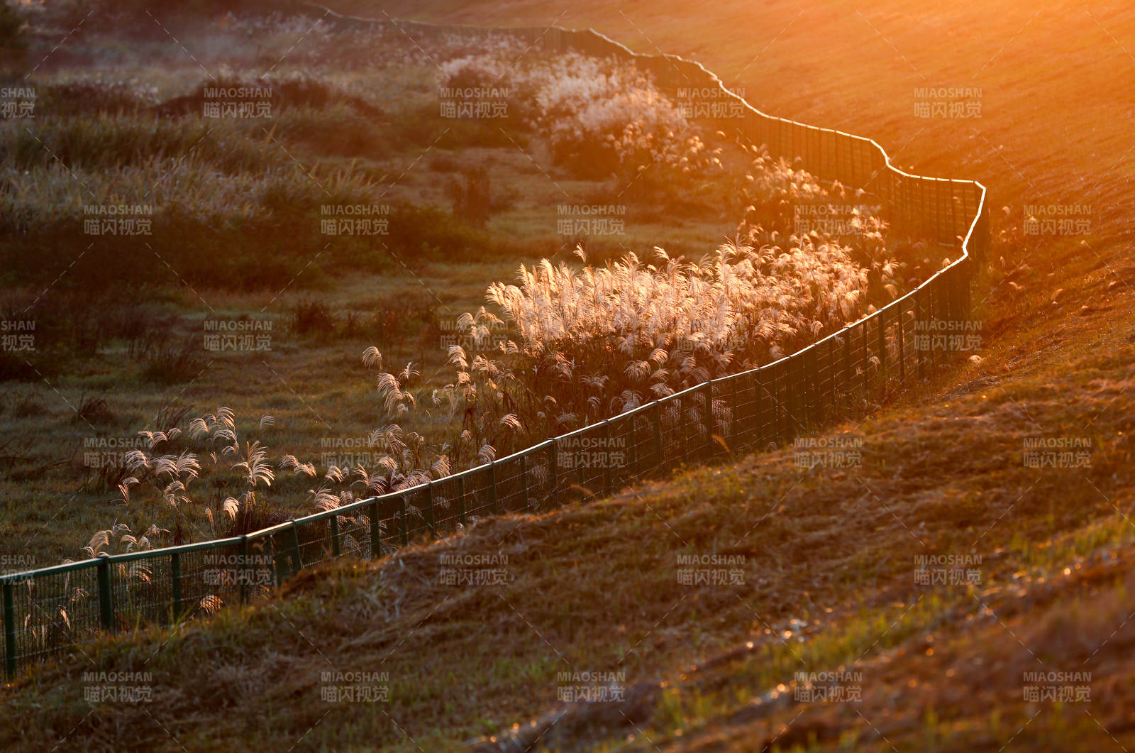 夕阳下的田野风光图片