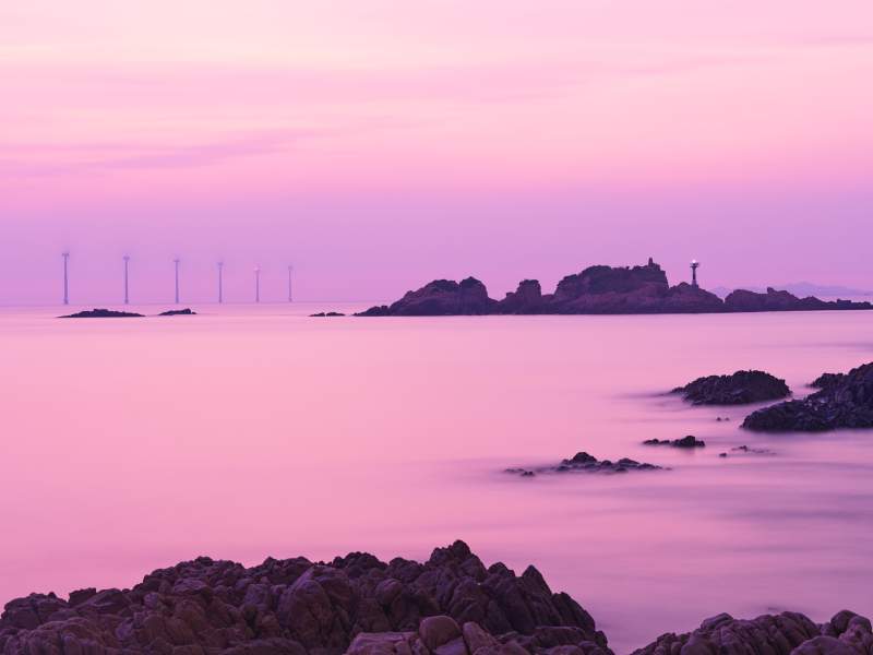 粉紫色海岸线岩石风车群图片