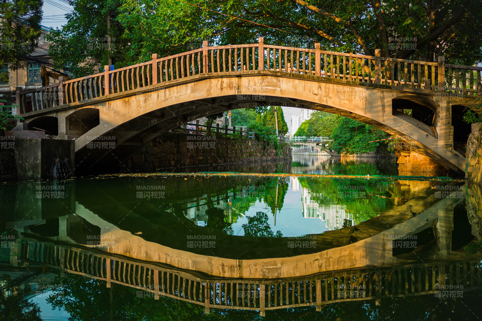 桥影映水 绿树成荫图片