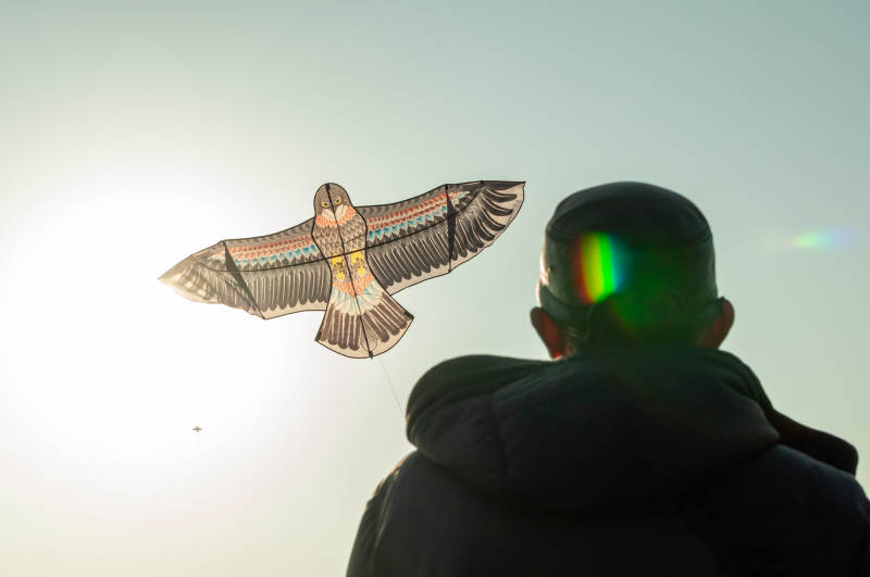 放飞鹰形风筝的男孩图片