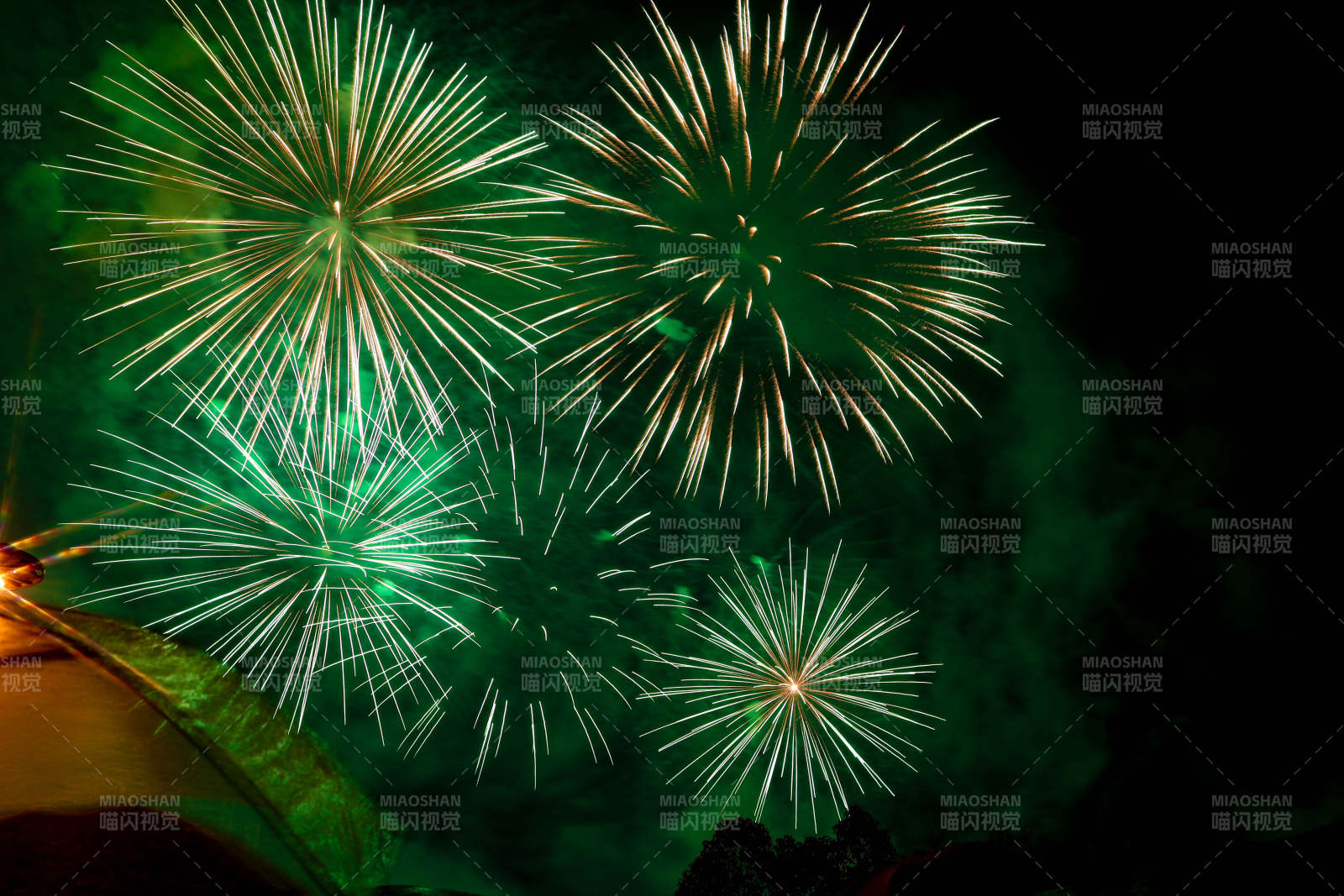 夜空中的绿色烟花绽放图片