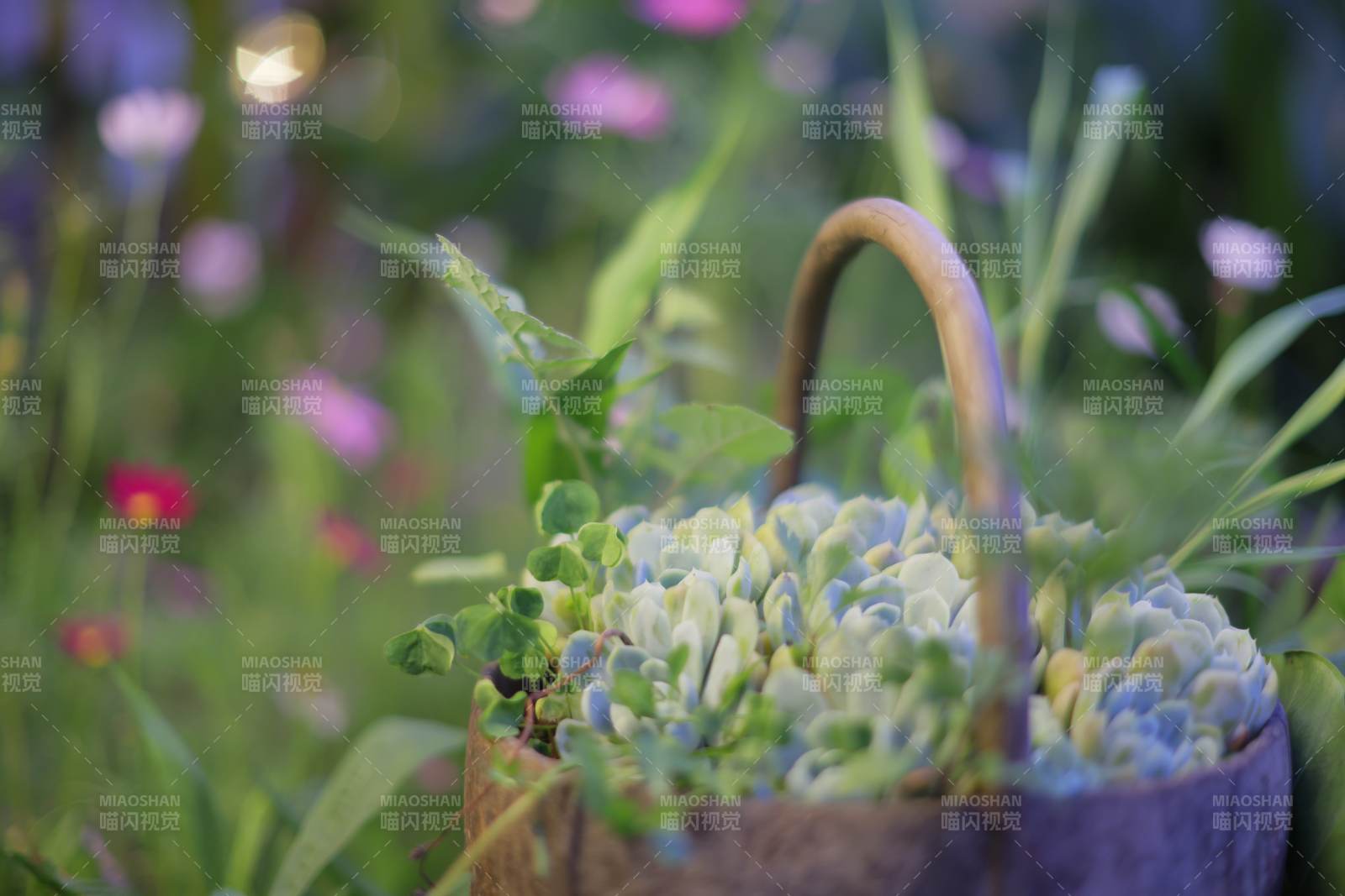 花篮中的绿植与野花图片