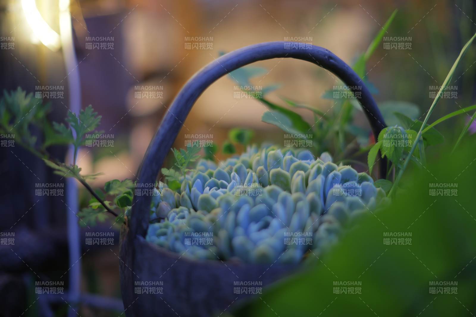 蓝调花篮 静谧之美图片