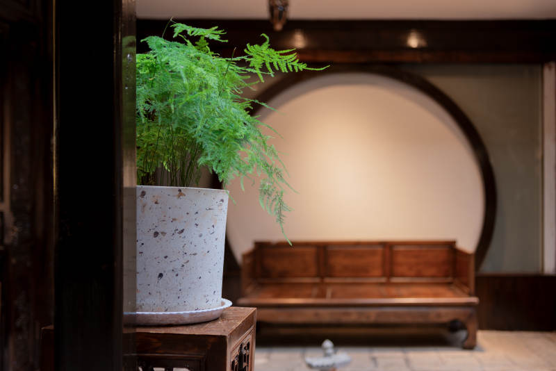 古风室内绿植点缀景致图片