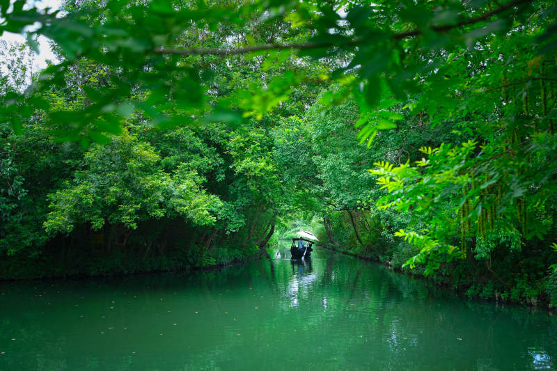 绿树掩映下的宁静水道图片
