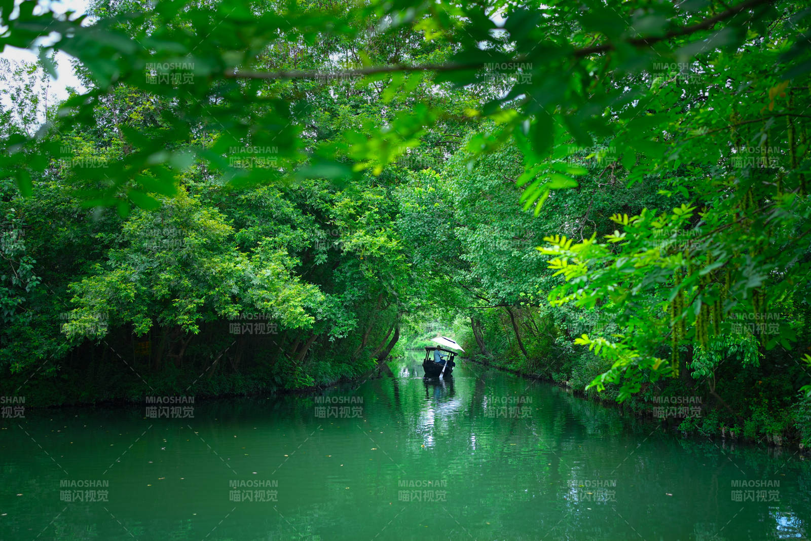 绿树掩映下的宁静水道图片