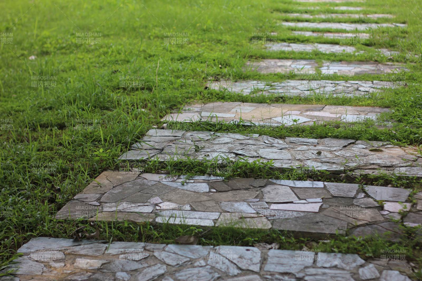 石板小径穿绿草图片