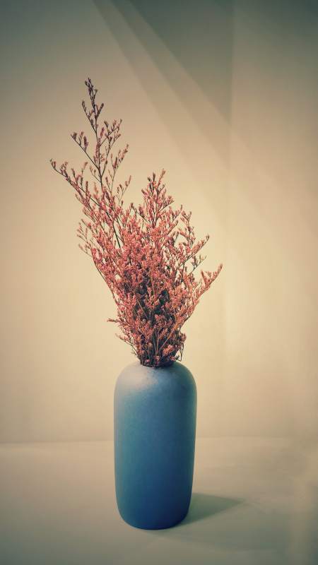 蓝色花瓶中的干花装饰图片