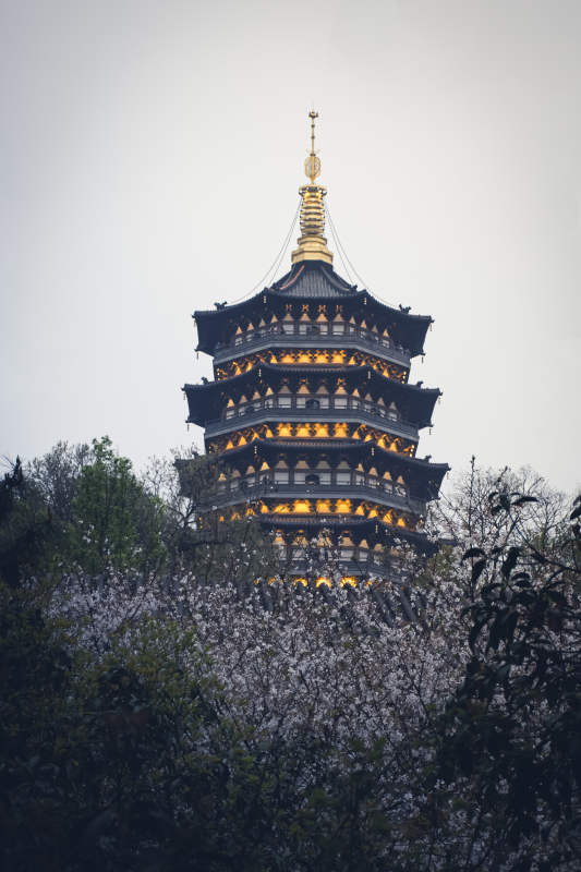 古塔映花海 夜色添辉光--雷峰塔图片