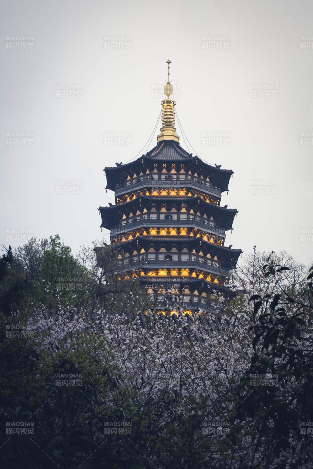古塔映花海 夜色添辉光--雷峰塔图片