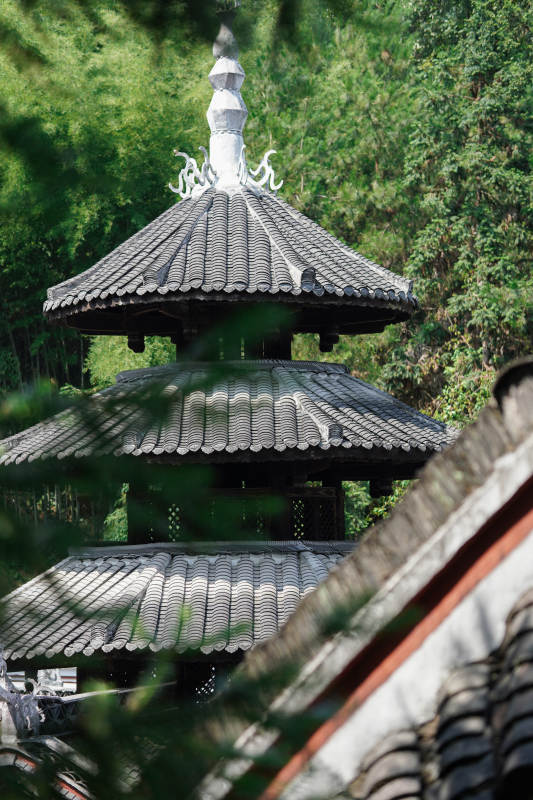 古塔幽林 静谧之美 恩施土司城图片