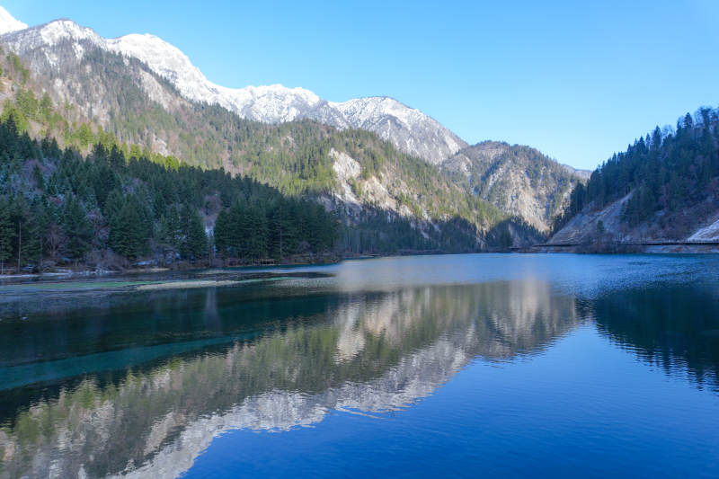 九寨沟雪山湖畔 静谧如镜图片