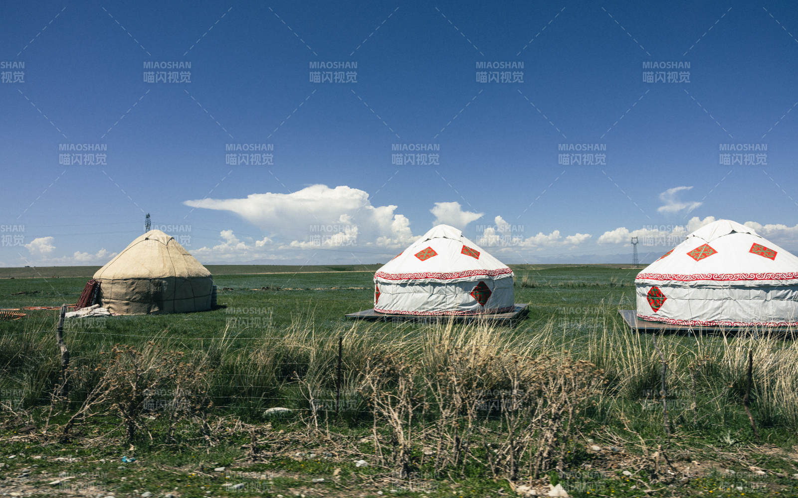 伊犁草原上的蒙古包图片