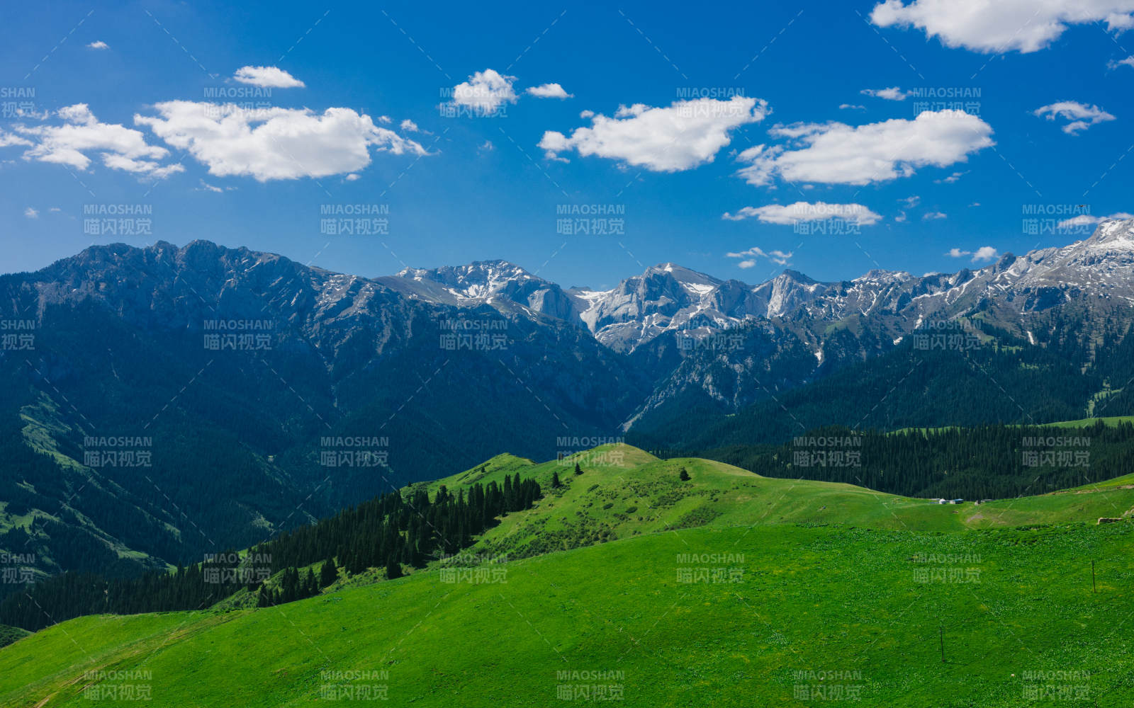 伊犁青山绿野 蓝天白云图片