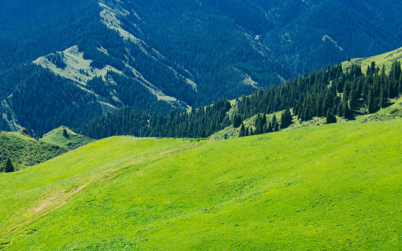 伊犁青山绿谷 自然之美图片