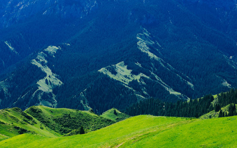 伊犁青山绿谷 自然之美图片