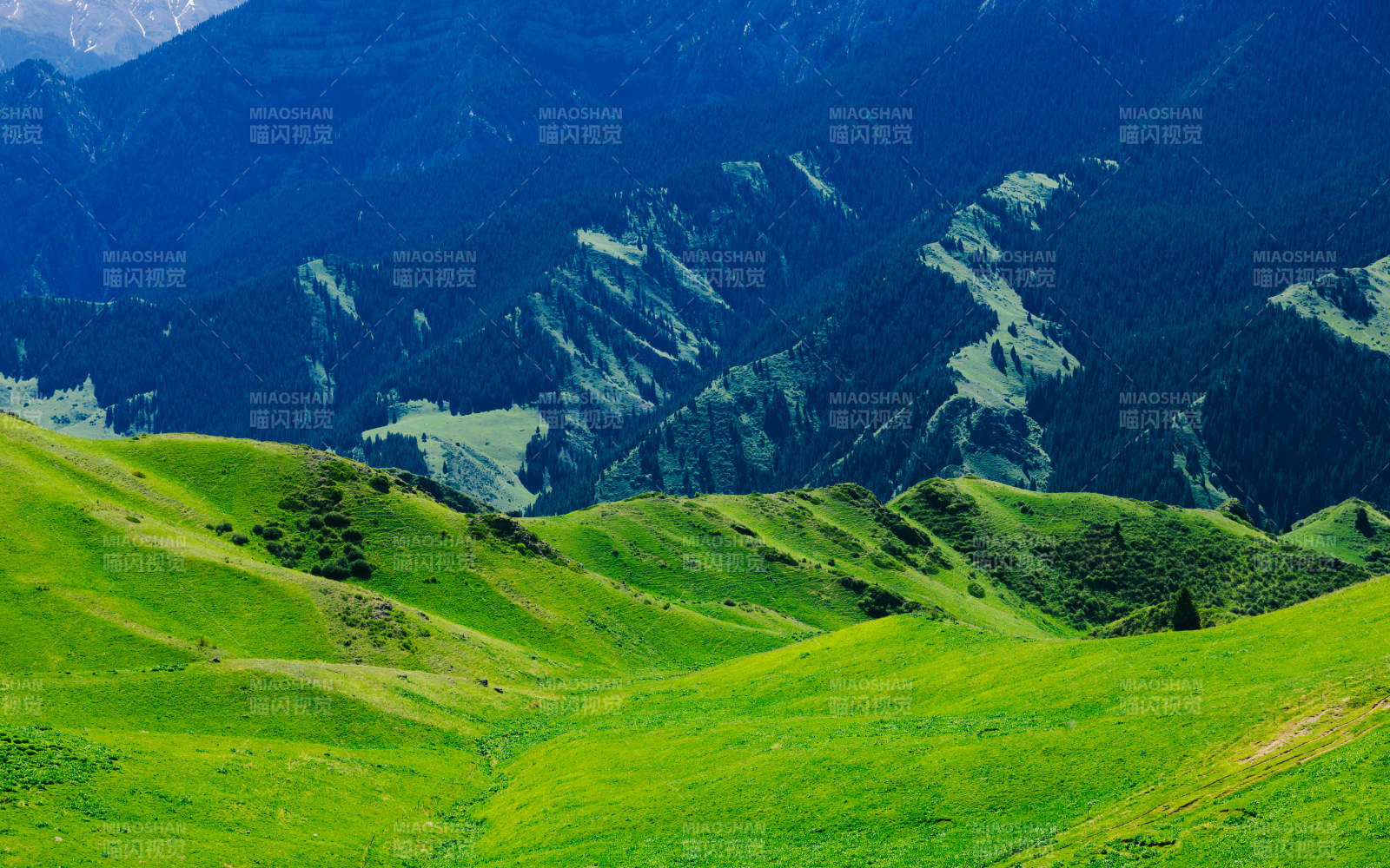 伊犁绿野山峦 自然之美图片