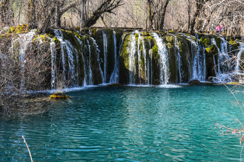 九寨沟箭竹海瀑布图片