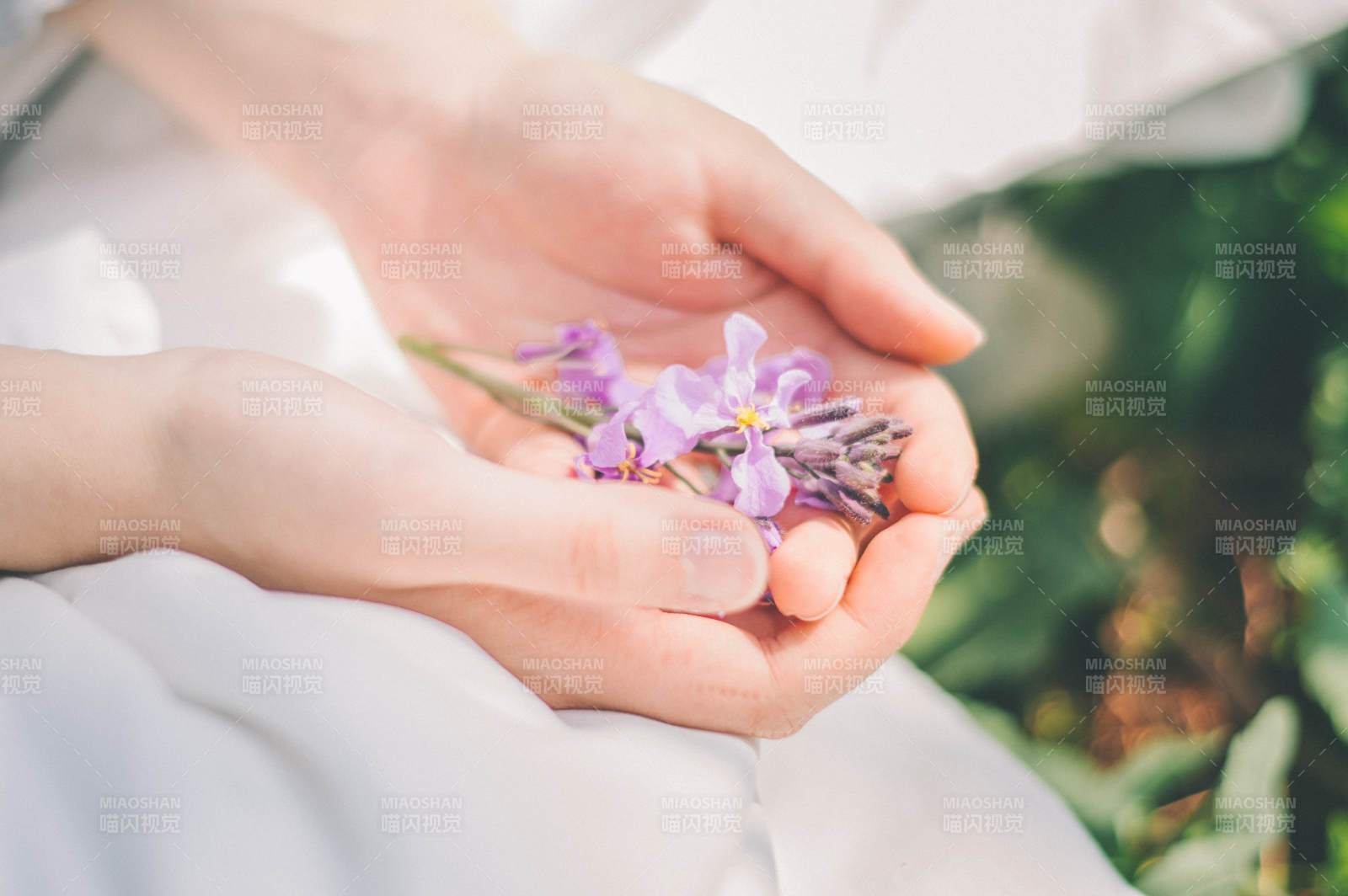 手捧紫色花朵 静谧时光图片