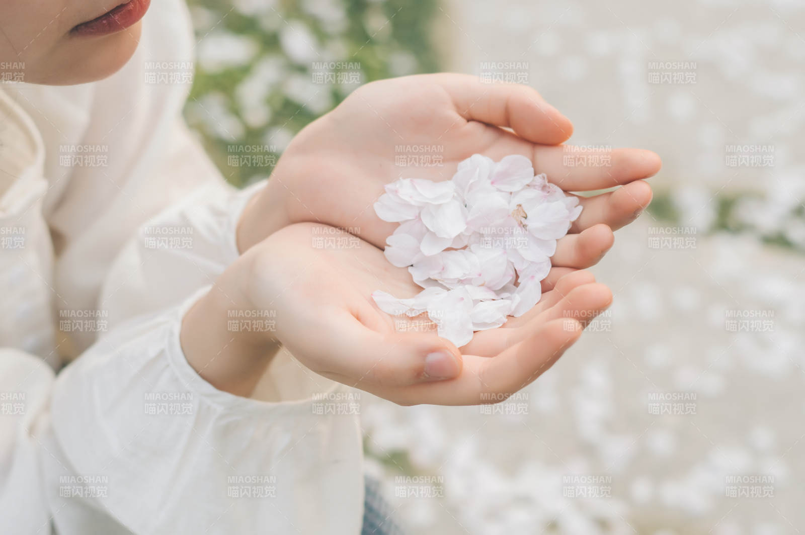 手捧花瓣 春意盎然图片