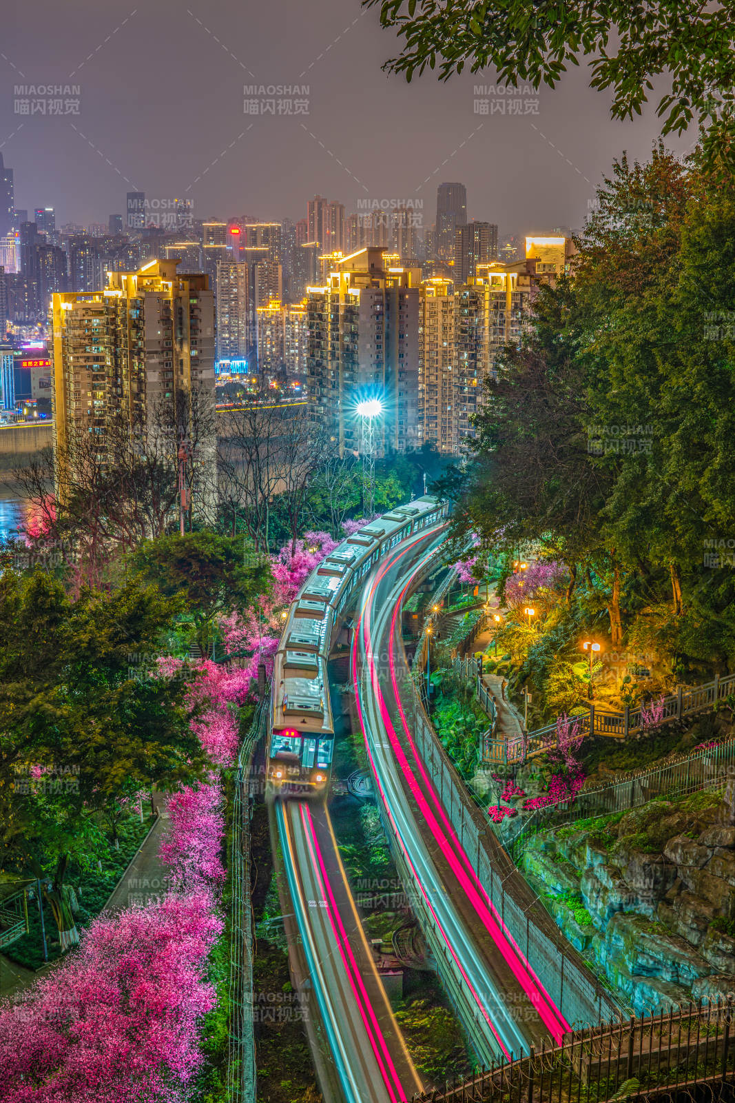 重庆 城市夜景与樱花列车图片