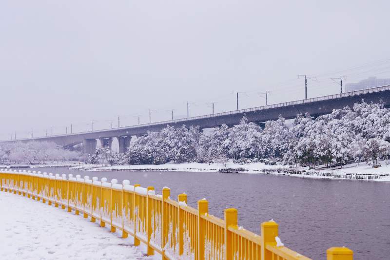 孝感槐荫公园图片