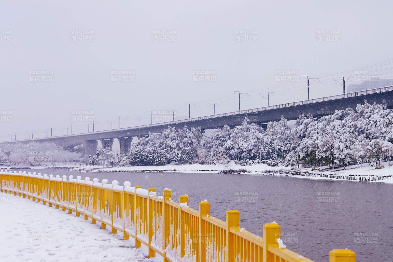 孝感槐荫公园图片