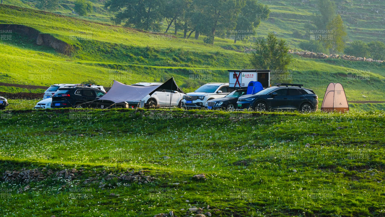 河北蔚县西刑岭村山上草原露营 车影成行图片