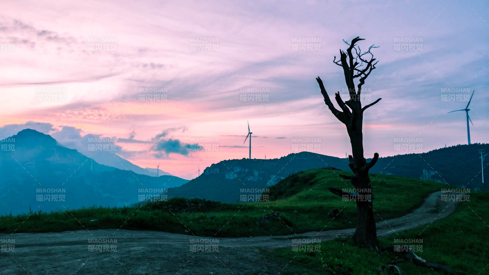 黄昏山野 孤树风车影图片