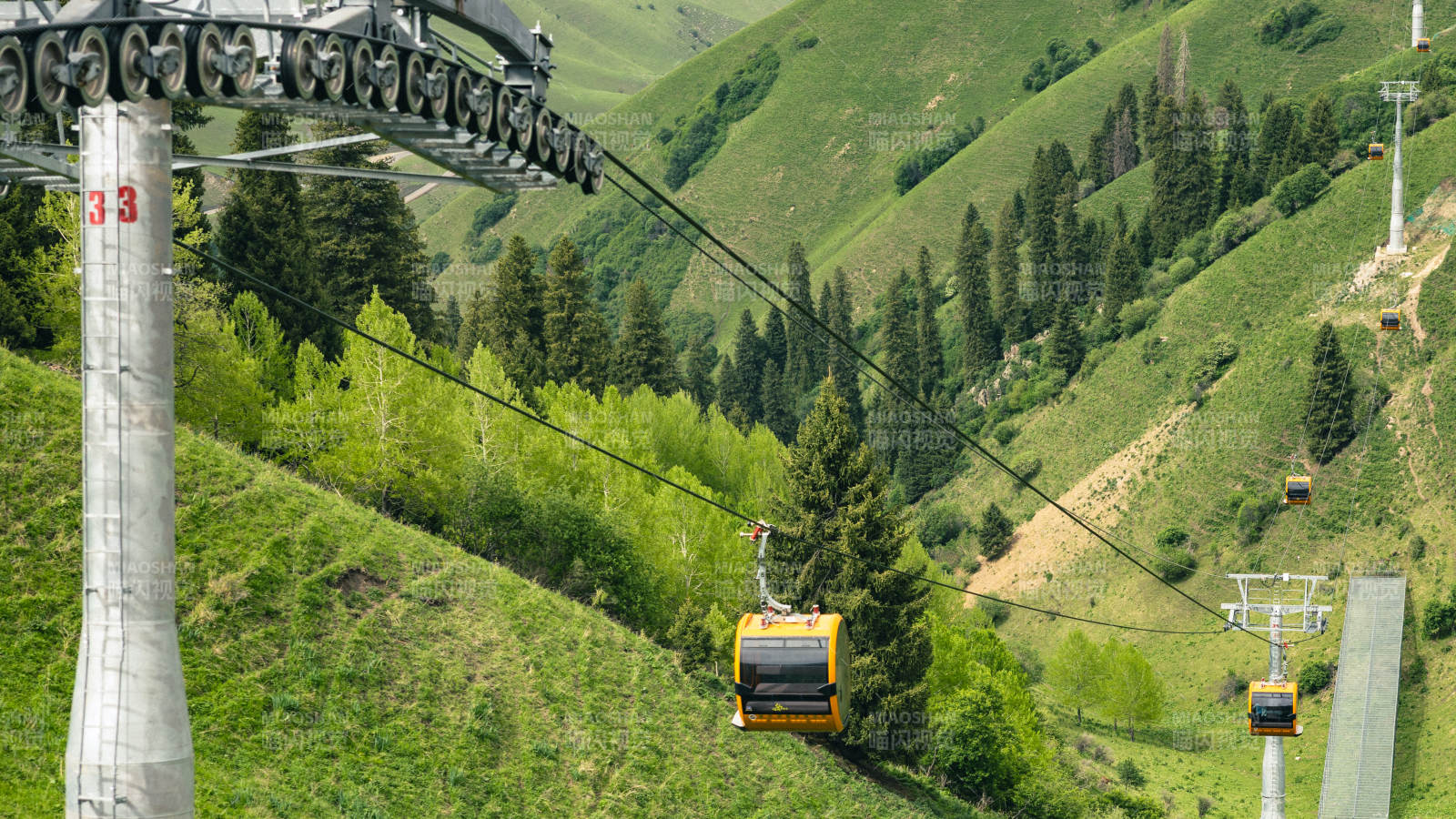 那拉提山间缆车穿梭绿林中图片