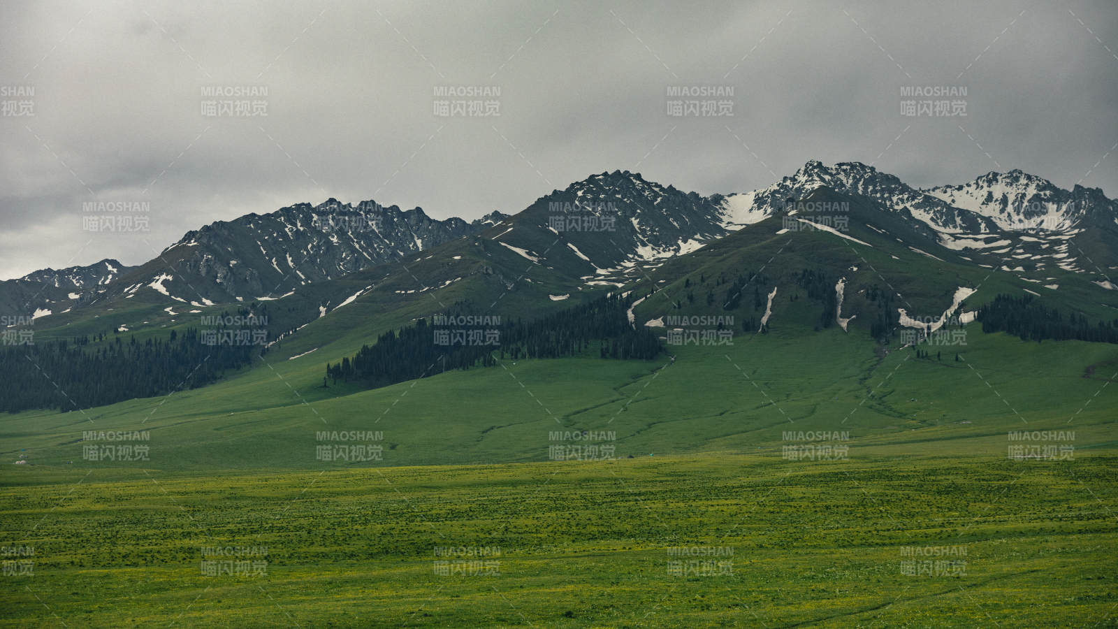 那拉提雪山绿野 宁静自然图片