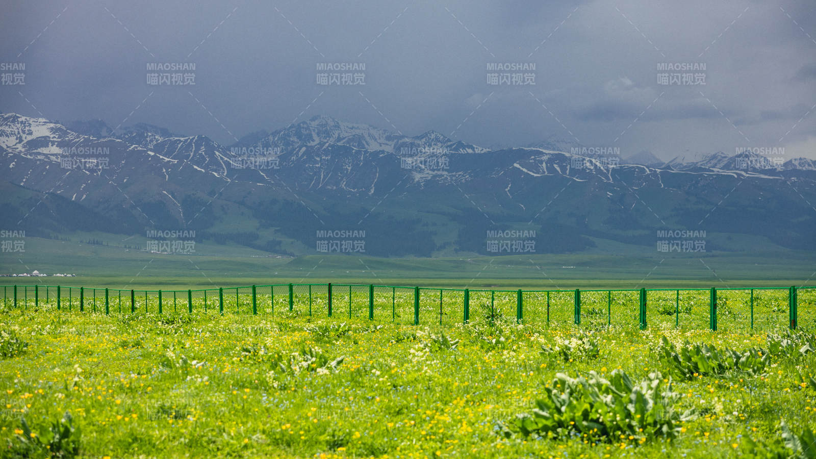 那拉提雪山下的绿色草原图片