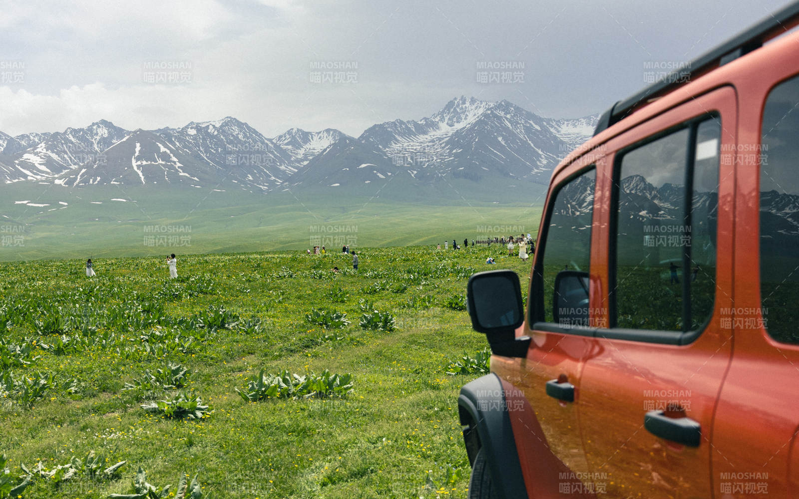 雪山草原自驾游图片