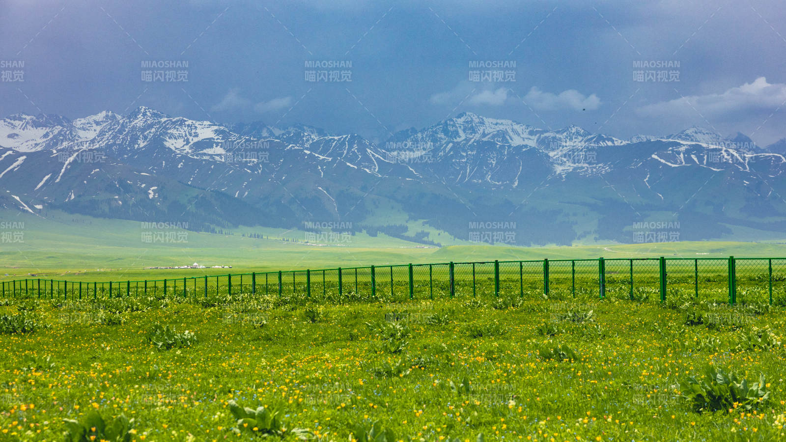 那拉提雪山草原 绿意盎然图片