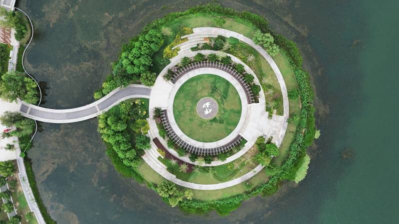 上海奉贤区-上海之鱼图片