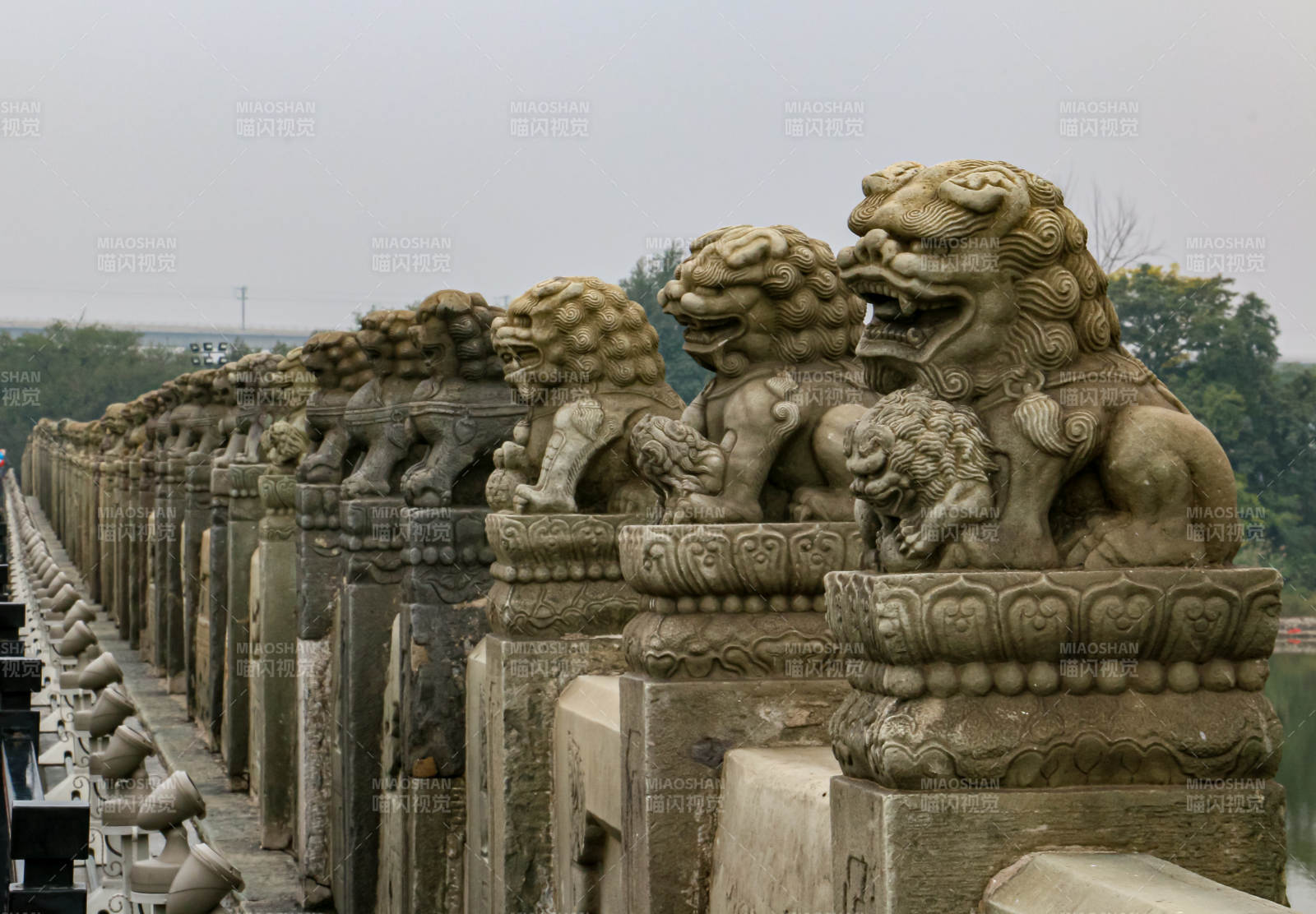 卢沟桥石狮子雕像群图片