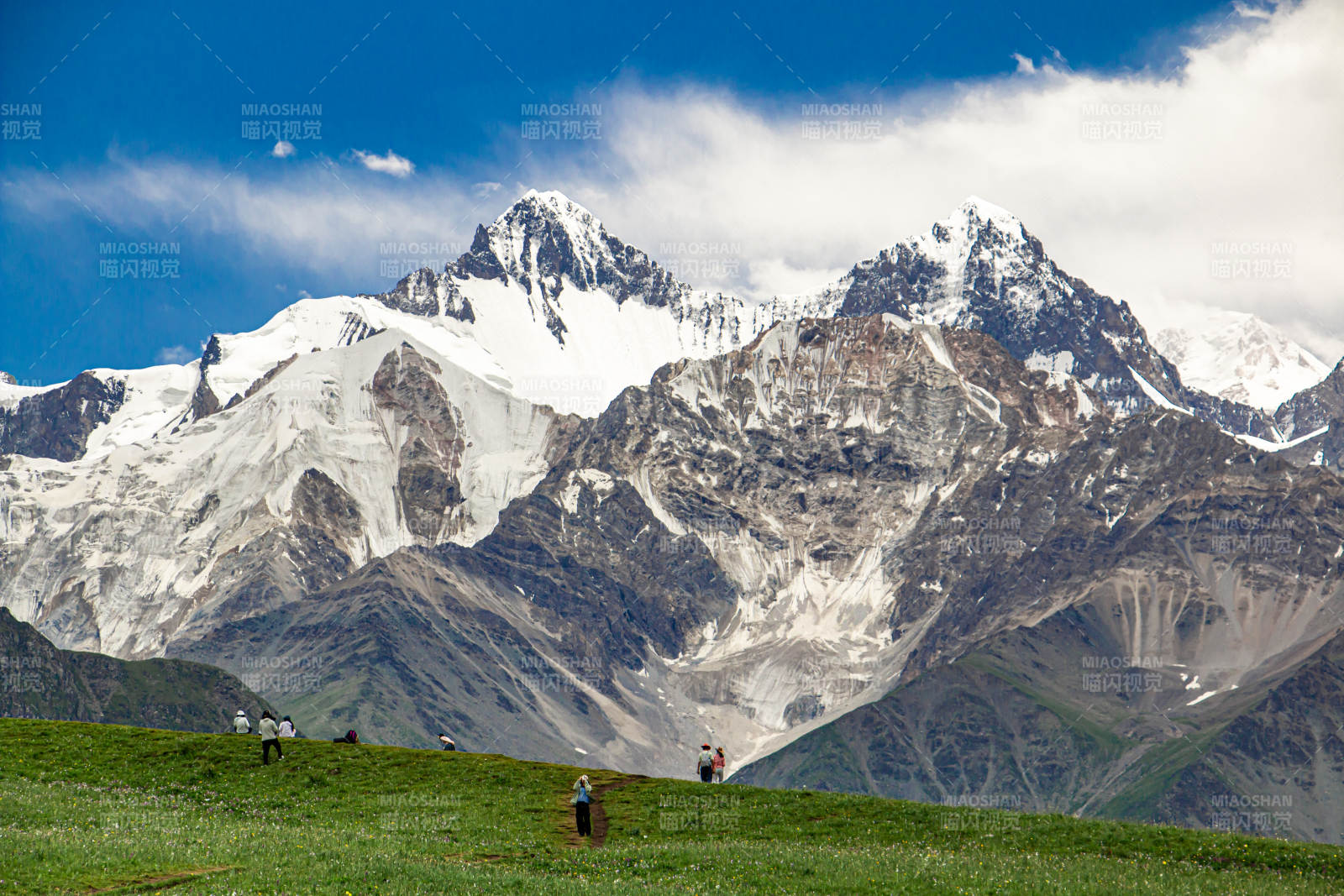 夏塔景区雪山下的绿野风光图片