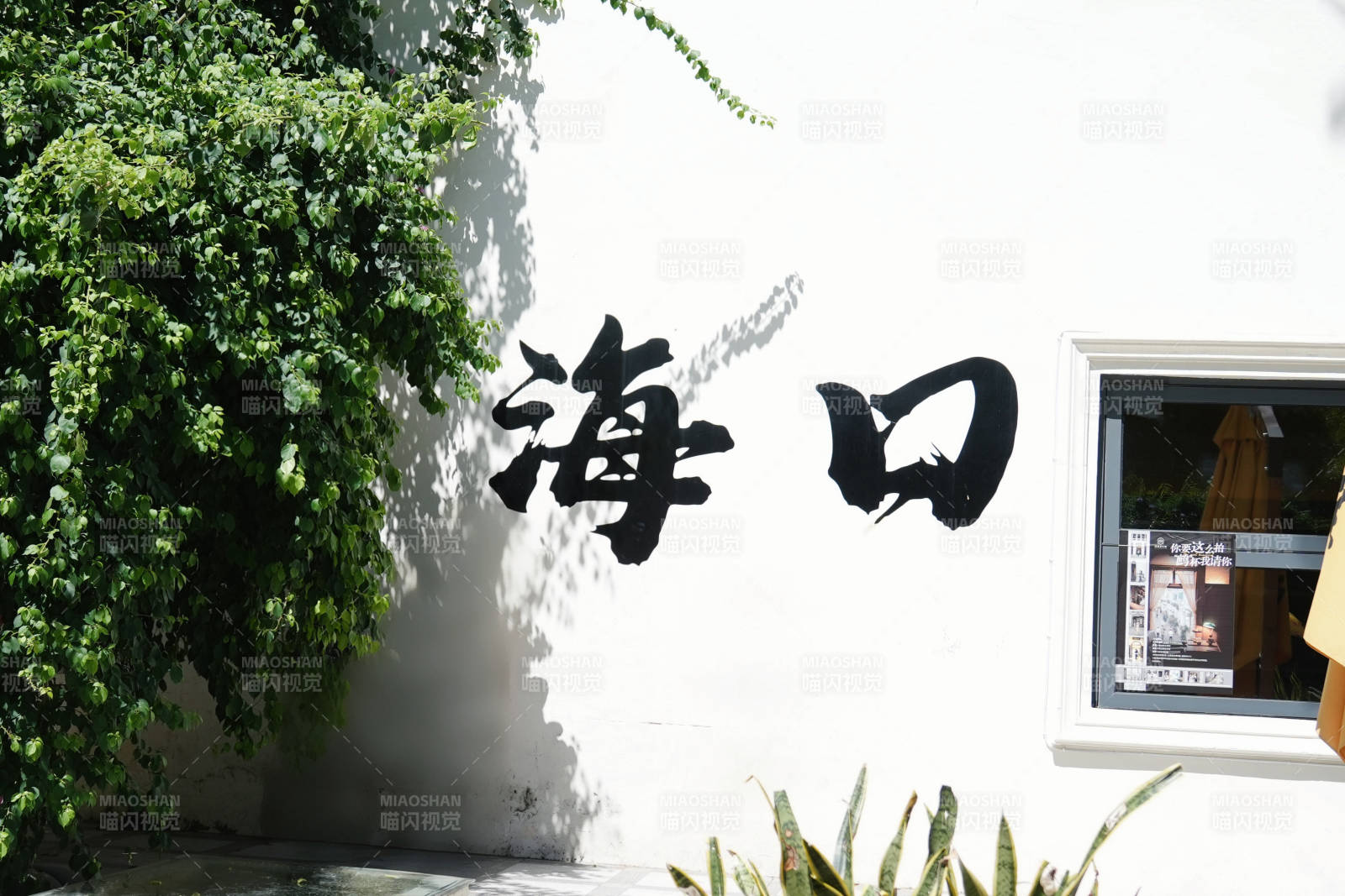 海口墙上的艺术字迹图片