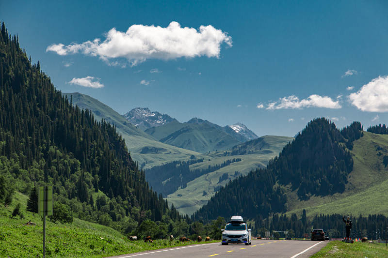 伊犁河谷山间公路 风景如画图片