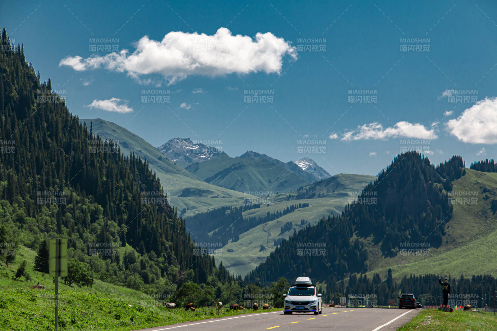 伊犁河谷山间公路 风景如画图片