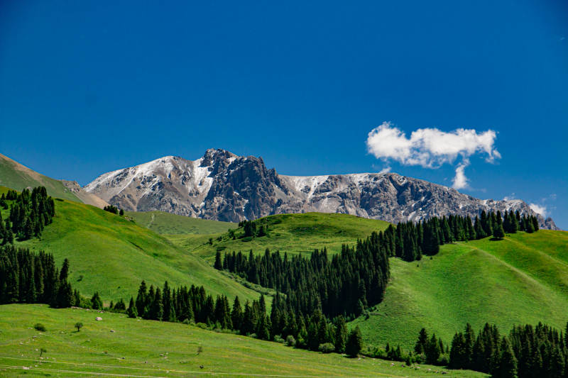 伊犁河谷雪山绿谷 蓝天白云图片