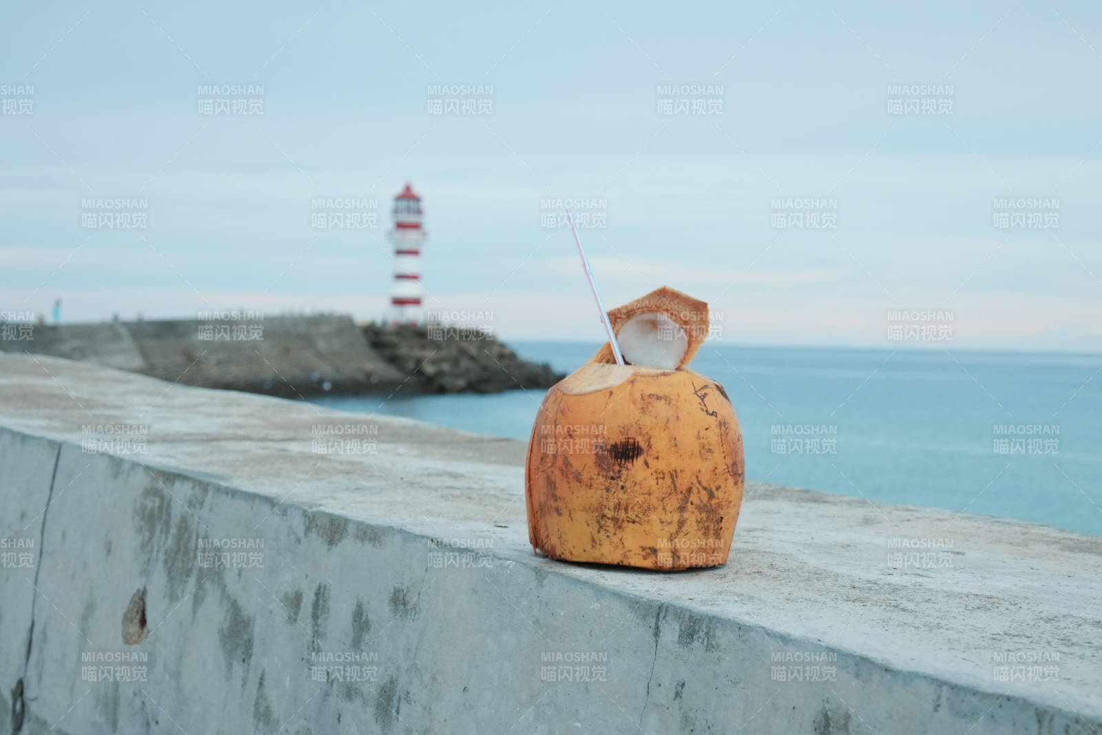 万宁灯塔海边椰子清凉一夏图片