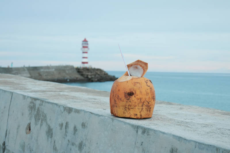 万宁灯塔海边椰子清凉一夏图片